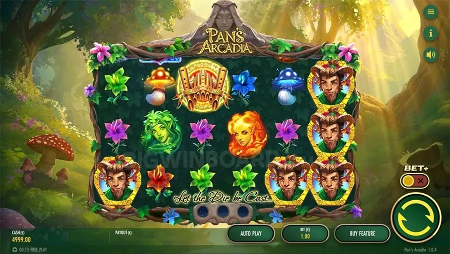 Comparison of RNG vs live dealer casino games