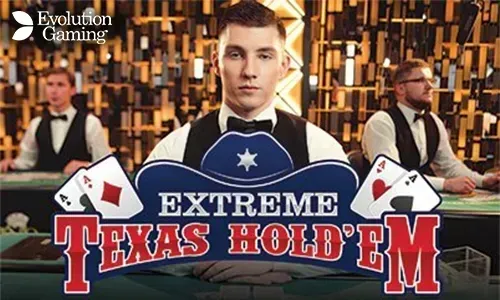 Immersive Live Casino Experience