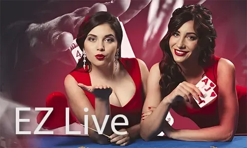 Bingo Mobile App Easy Access