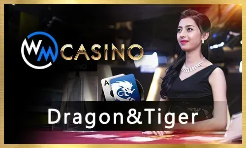 Comprehensive Sports Betting